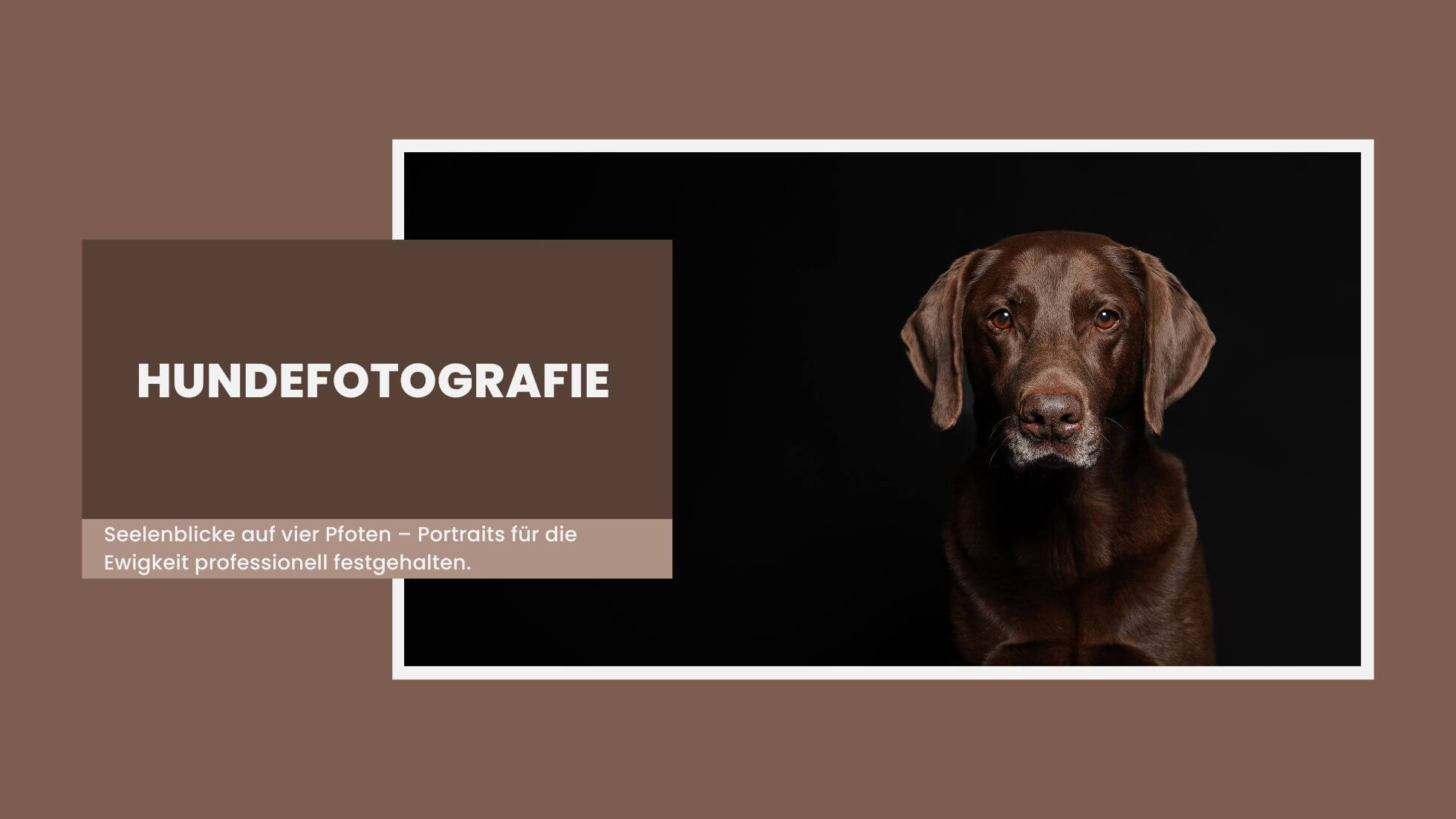Hundefotos Krefeld